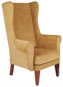 Fotoliu Wingback