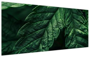 Tablou - Detaliu al foii (120x50 cm)