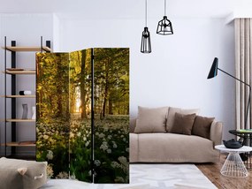 Paravan - Forest flora [Room Dividers]