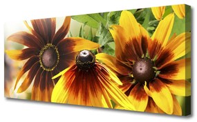 Tablou pe panza canvas Flori Floral Brown Galben