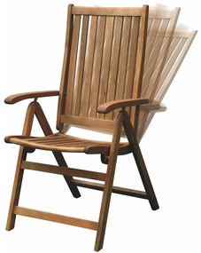 Scaun reglabil Fieldmann FDZN 4001-T , 2 buc.