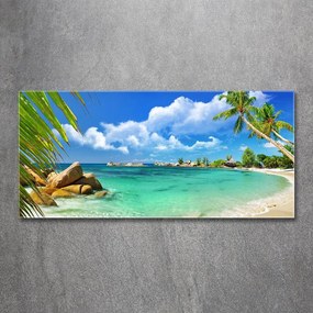 Tablou acrilic Plaja seychelles