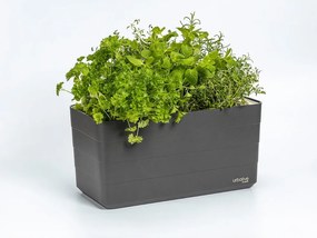 Jardinieră din plastic cu sistem de auto-irigare 39,5 cm Berberis – Plastia