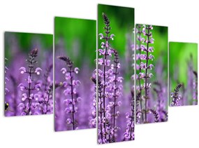 Tablou cu flori de luncă violete (150x105 cm)