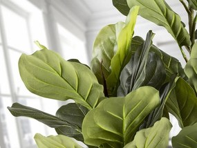 Planta artificiala decorativa Higuera violin, H200