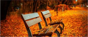 Tablou cu banca toamna (120x50 cm)