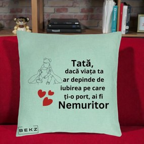 Cadou pentru Tata - Perna Personalizata Tata Nemuritor Mesaj, 40x40 cm, Verde Menta, Husa Detasabila, Perna Inclusa, BEKZ®