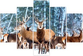 Tablou - Turma de căprioare (150x105 cm)