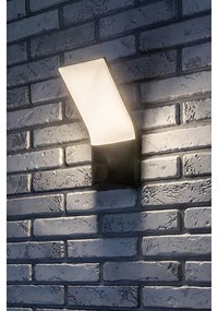 Aplică LED de exterior Rabalux 77171 TOLNA LED/10W/230V IP54