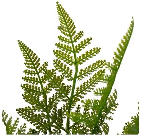 Ferigă artificială (înălțime 45 cm) – Casa Selección