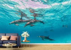 Tapet Premium Canvas - Delfini prin apele oceanului