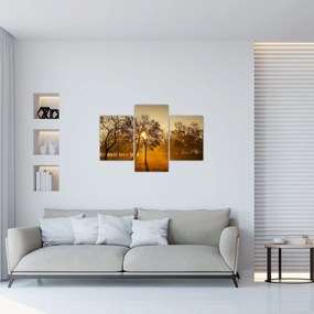 Tablou cu răsăsrit de soare (90x60 cm)