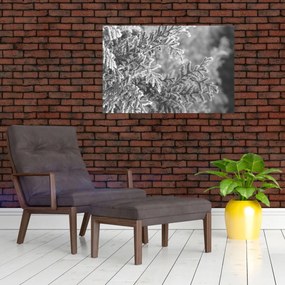 Tablou - Pădure de molid (90x60 cm)