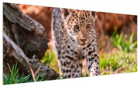 Tablou cu gepard mic (120x50 cm), în 40 de alte dimensiuni noi