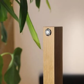 Lampă de podea LED VERDE LED/18W/230V 3000K stejar/negru