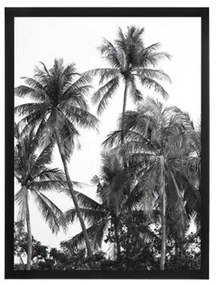 Tablou deco Palms, geam sticla, rama MDF, 32x42 cm