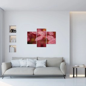 Tablou - Imagine macro a biletului (90x60 cm)