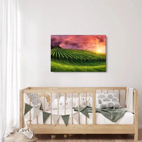 Tablou cu vie cu cerul color (90x60 cm)