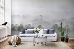 Fototapet, Morning Fog, Rebel Walls