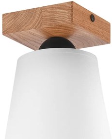 Lustră aplicată LULA 1xE27/60W/230V stejar