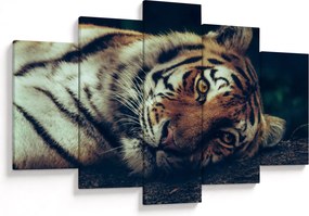 Tablou - Tigrul Siberian (150x105 cm)