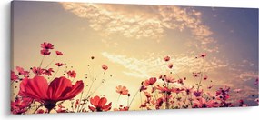 Tablou - Lunca cu flori (120x50 cm)
