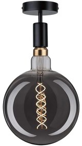 Paulmann 79760 - Plafonieră HALDOR 1xE27/20W/230V