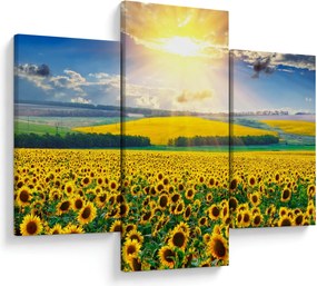 Tablou - Câmp cu floarea soarelui (90x60 cm)