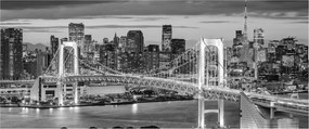 Tablou - Negru și alb oraș mare (120x50 cm)