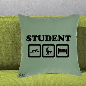 Perna Decorativa Student Life, 40x40 cm, Verde, Husa Detasabila, Perna Inclusa, BEKZ®