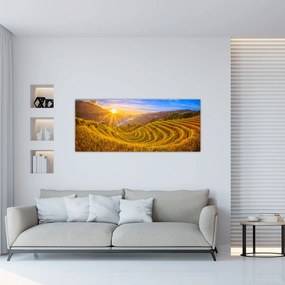 Tablou - Terasele de orez din Vietnam (120x50 cm)