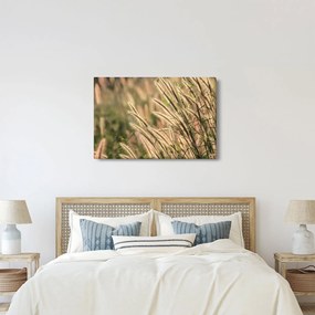 Tablou - Cereale (90x60 cm)