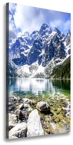 Tablou canvas Marine ochi Tatry