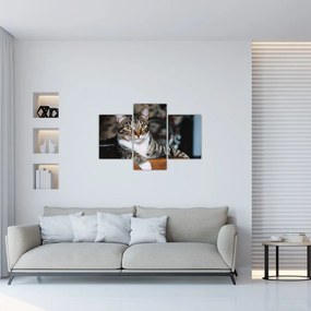 Tablou cu pisica (90x60 cm)