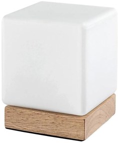 Lampă LED dimabilă de masă Rabalux 76003 PIRIT LED/1,2W/5V 3000K fag