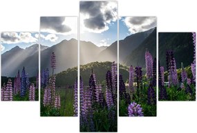 Tablou - scenariu cu flori de Lupin (150x105 cm)