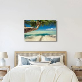 Tablou - Mare curată cu palmier (90x60 cm)