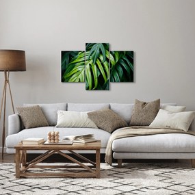 Tablou - Frunze tropicale (90x60 cm)