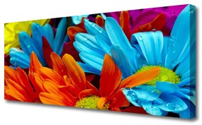 Tablou pe panza canvas Flori Floral Roșu Albastru Portocaliu