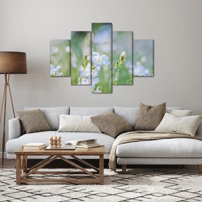 Tablou - Flori delicate (150x105 cm)
