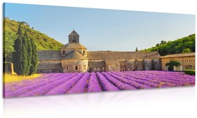 Tablou Provence cu câmpuri de lavandă