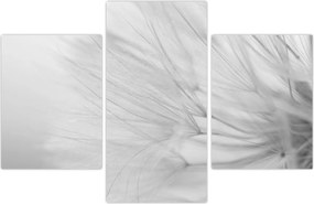 Tablou - Dandelion (90x60 cm)