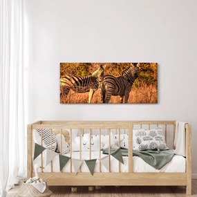 Tablou cu zebre (120x50 cm)