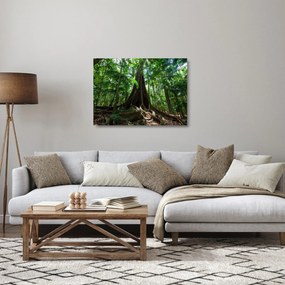 Tablou pe sticlă - Rădăcinile copacului (70x50 cm)