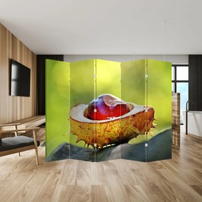 Paravan - Castani (210x170 cm)