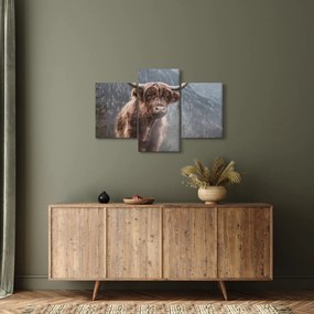 Tablou - Vaca Highlander (90x60 cm)