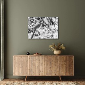 Tablou - Bluebird în timpul iernii (70x50 cm)