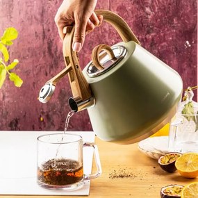 Ceainic cu fluier Klausberg KB 9062, 2,5 l, Otel inoxidabil, Maner care nu se incalzeste, Toate plitele inclusiv inductie, Verde