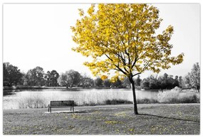 Tablou - relaxare în parc (90x60 cm)