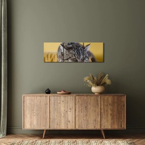 Tablou cu pisica pe fotoliu (cu ceas) (90x30 cm)
